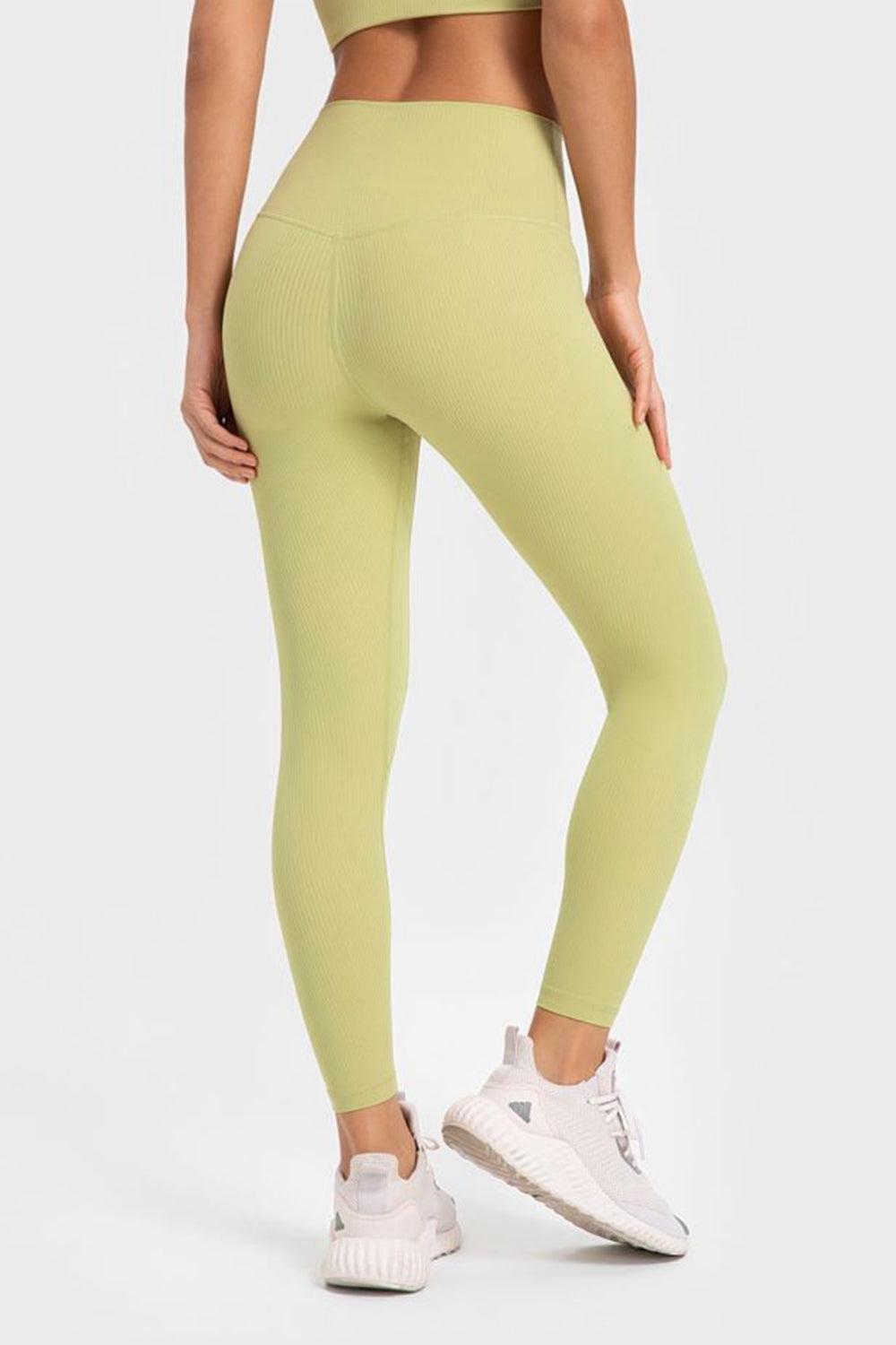Radiance Leggings